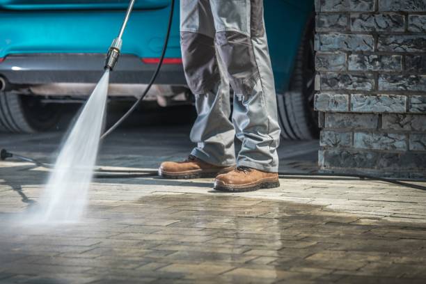 Best Heavy Equipment Washing  in Paynesville, MN